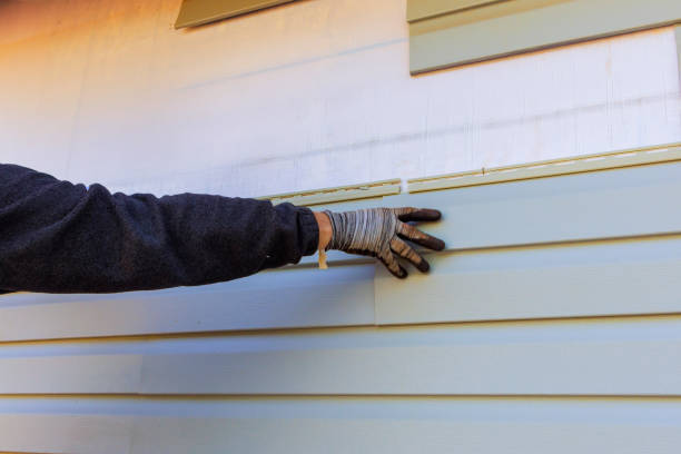 Professional Siding Installation & Repair in Dixon, CA